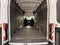 2023 Ford Transit Cargo Van T-250 148" EL Hi Rf 9070 GVWR RWD